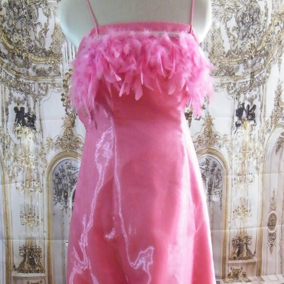 Robe de Bal ou demoiselle d’honneur rose avec plumes Taille 2 - Picture 1 of 3